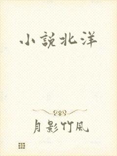 小说北洋