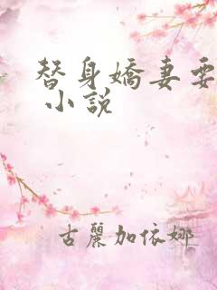 替身娇妻要离婚 小说