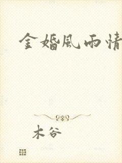 金婚风雨情下载
