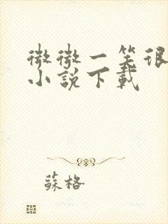 微微一笑很倾城小说下载