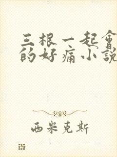 三根一起会坏掉的好痛小说