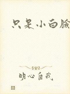 只是小白脸