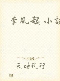 李风起 小说