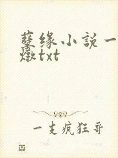 孽缘小说一家乱炖txt
