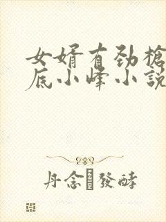 女婿有劲枪枪到底小峰小说