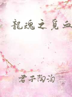 龙魂之觅血心缘