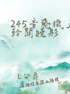 245章飞机上干关晓彤