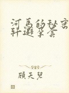 河马的秘密河文轩避孕套