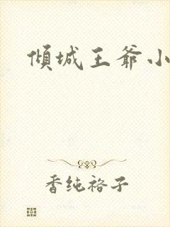 倾城王爷小小妃