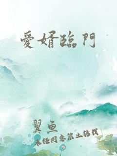 爱婿临门