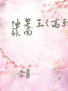 他是王(高干)苏南