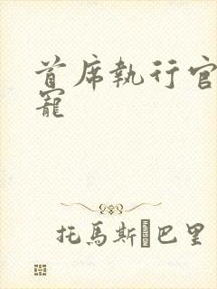 首席执行官的绝宠