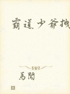 霸道少爷拽上我