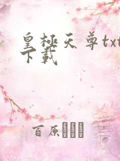 皇极天尊txt下载