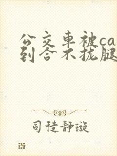 公交车被cao到合不拢腿视频