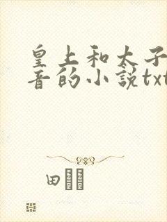 皇上和太子妃沈音的小说txt