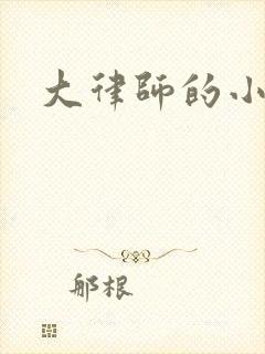 大律师的小老婆