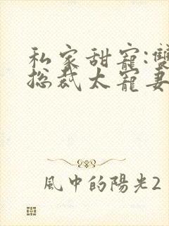 私家甜宠:双面总裁太宠妻