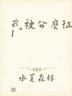 我被公么征服了1