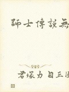 师士传说无弹窗