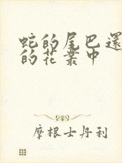 蛇的尾巴还在我的花丛中