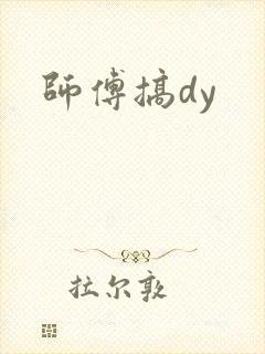 师傅搞dy