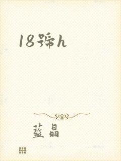 18号h
