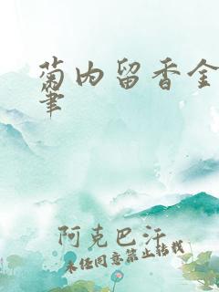 菊内留香金银花笔