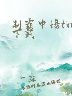 制霸中场txt下载