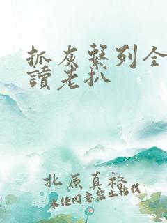 抓灰系列全文阅读老扒