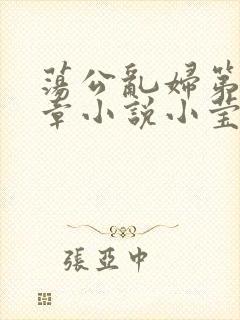 荡公乱妇第51章小说小莹