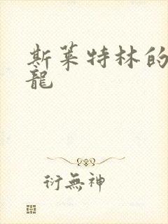 斯莱特林的铂金龙