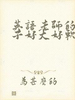 英语老师的小兔子好大好软水