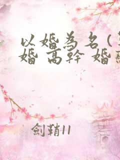 以婚为名 (军婚 高干 婚恋)