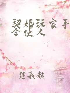 契婚玩家手册之合伙人