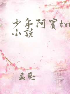 少年阿宾txt小说