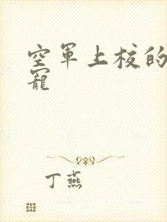 空军上校的邪魅宠