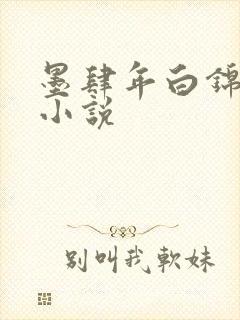 墨肆年白锦瑟 小说