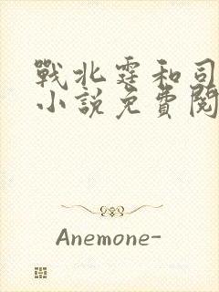 战北霆和司情的小说免费阅读