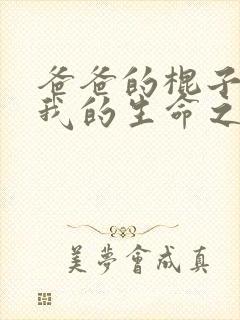 爸爸的棍子顶着我的生命之门