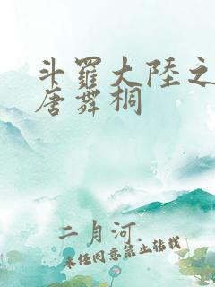 斗罗大陆之肉奴唐舞桐