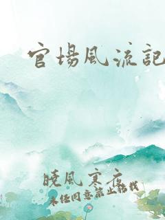 官场风流记