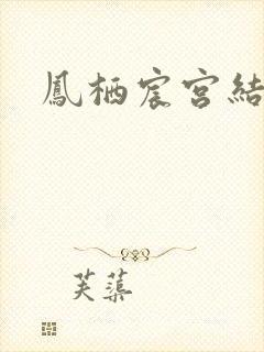 凤栖宸宫结局