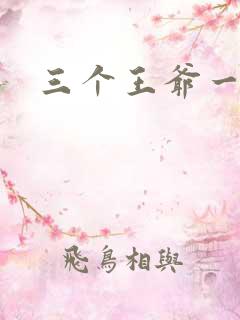 三个王爷一个妃