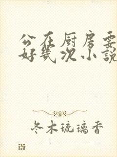 公在厨房要了我好几次小说