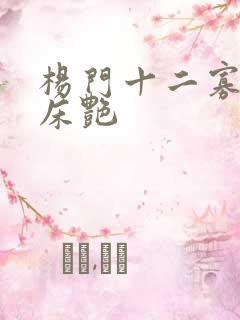 杨门十二寡妇肉床艳