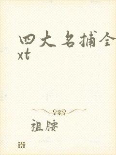 四大名捕全集txt
