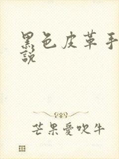 黑色皮革手册小说