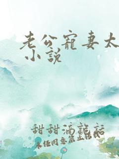 老公宠妻太甜蜜 小说