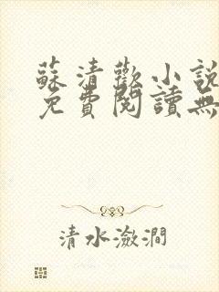 苏清欢小说全文免费阅读无弹窗